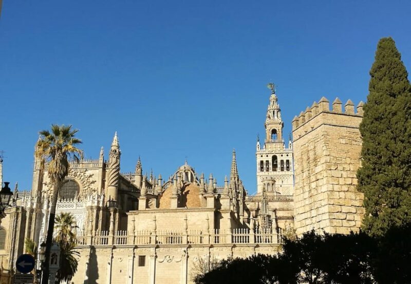 Seville: Cathedral & Alcázar Guided Tour with River Cruise - Authentic Reviews and Insights