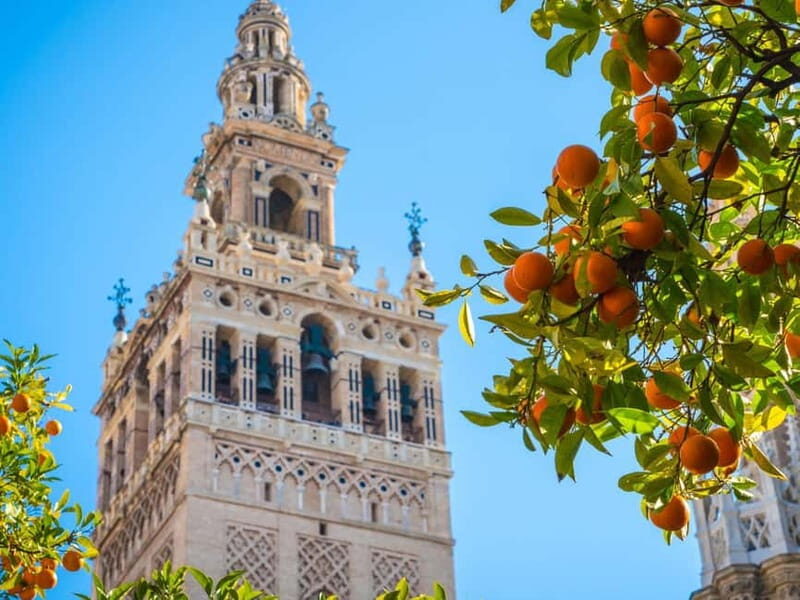 Seville: Dutch Highlights (E-)Bike Tour with a Small Group - Deep Dive into the Experience