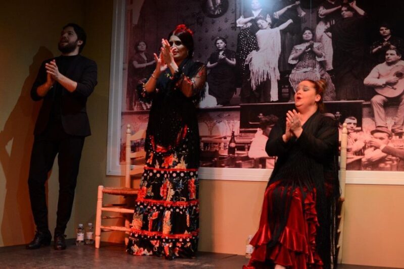Seville: Flamenco Show at Tablao La Cantaora - Practical Details: Pricing, Duration, and Comfort