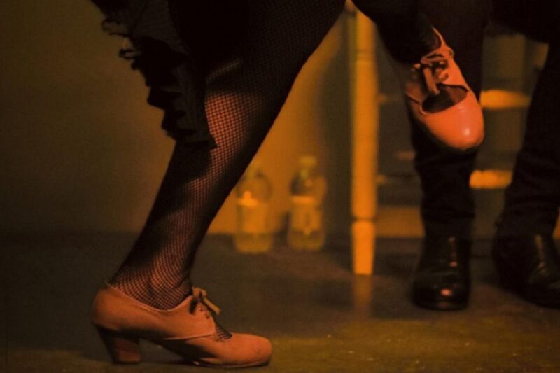 Seville: Flamenco Show at Tablao La Cantaora - Who Will Enjoy This Flamenco Show?