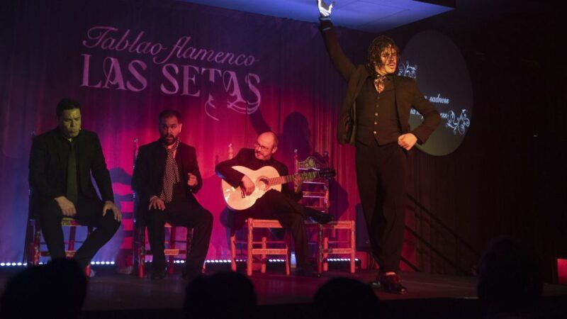 Seville: Flamenco Show & Roof Dinner with Cathedral Views - Key Points