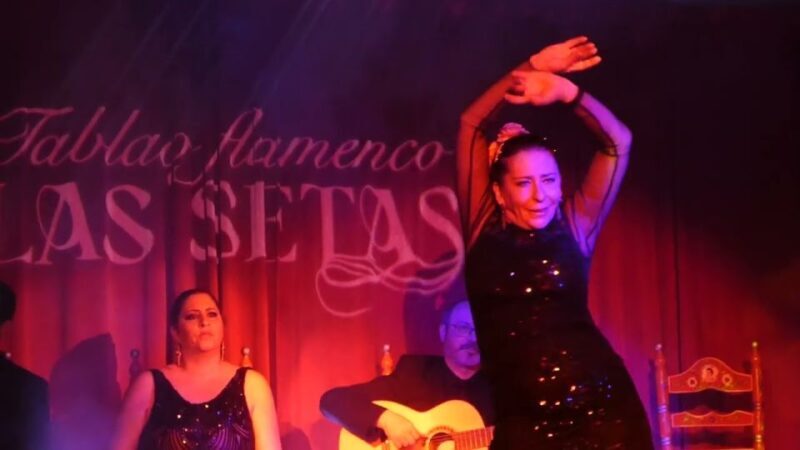 Seville: Flamenco Show & Roof Dinner with Cathedral Views - Why This Tour Fits Different Travelers