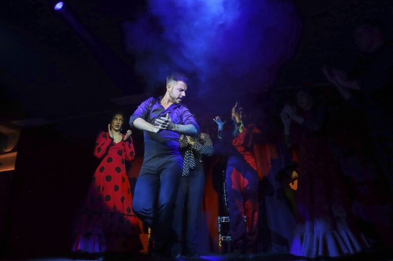 Seville: Flamenco Show Ticket at Tablao Flamenco Las Setas - Who Will Love This Flamenco Show?