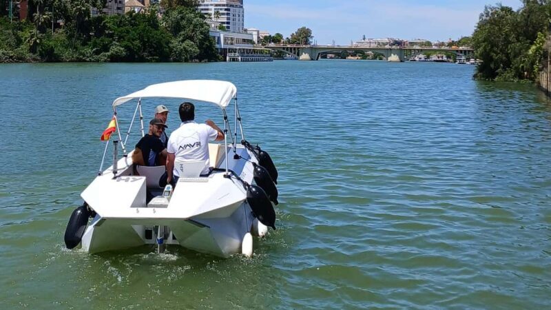 Seville from the River: Electric water taxi ride, TAXI SHIP. - Key Points