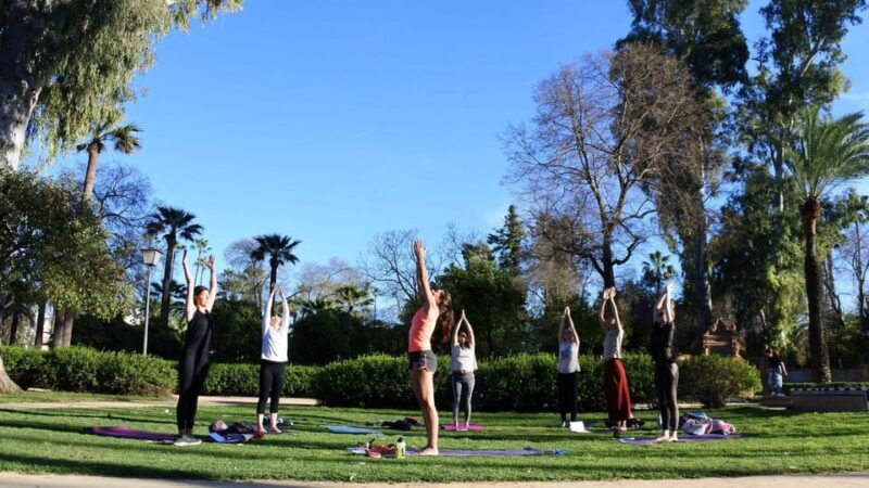 Seville: Group Yoga Classes All Levels - The Sum Up