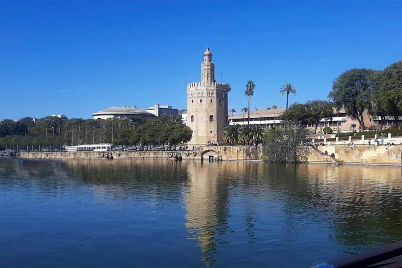 Seville: Guadalquivir Boat Tour with Optional Lunch/Dinner - Practical Details and Tips