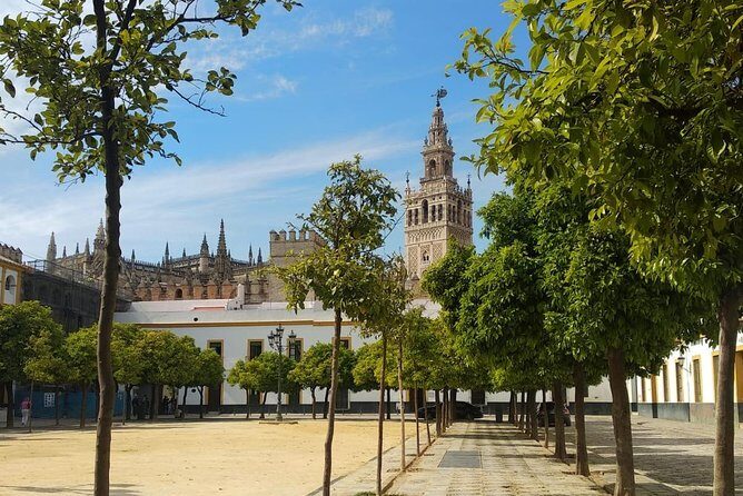 Seville Highlights Private Walking Tour - An In-Depth Look at the Seville Highlights Private Walking Tour