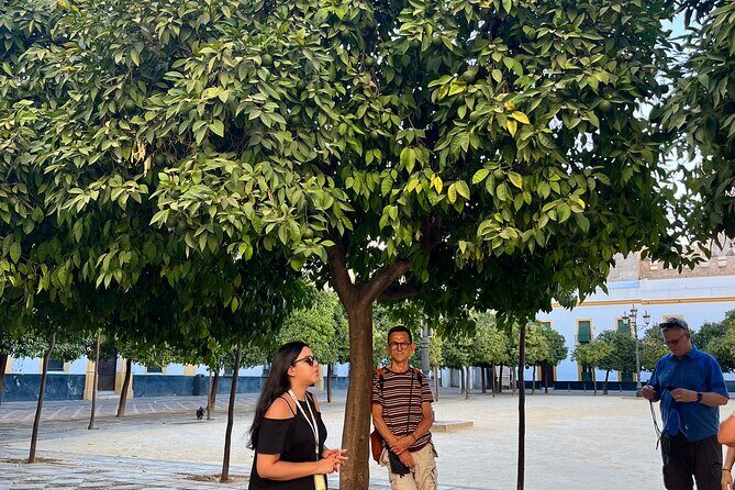 Seville Highlights Private Walking Tour - FAQ