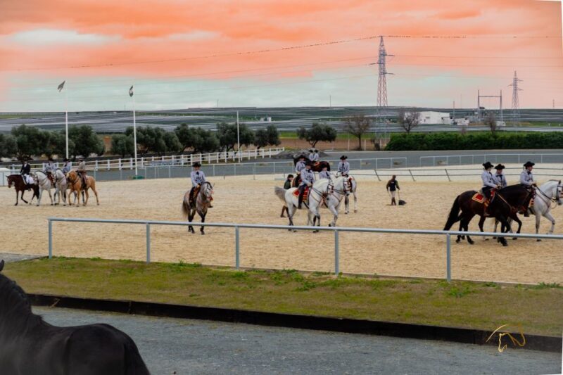 Seville: Horse's Show Entry Ticket. Optional Stud Farm Visit - A Detailed Look at the Experience