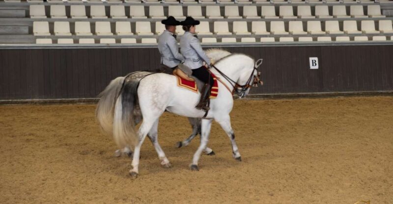 Seville: Horse's Show Entry Ticket. Optional Stud Farm Visit - The Sum Up