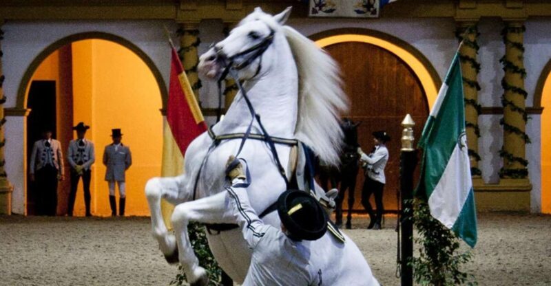 Seville: Jerez, Cadiz Wine Tasting with Optional Horse Show - A Deep Dive into the Tour Experience