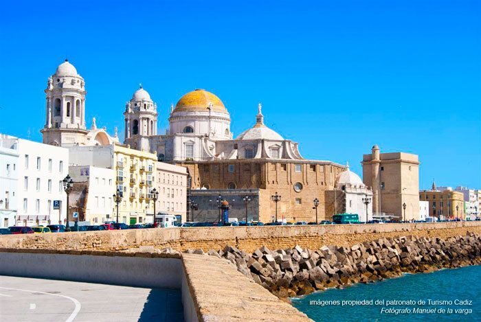 Seville: Jerez, Cadiz Wine Tasting with Optional Horse Show - Final Thoughts