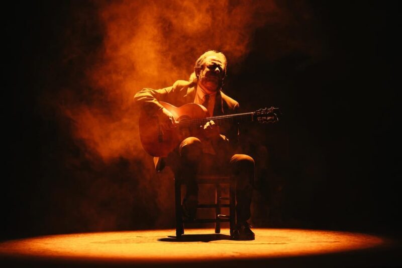 Seville: Live Flamenco Dancing Show Ticket at the Theater - A Deep Dive into Seville’s Flamenco Live Show Experience