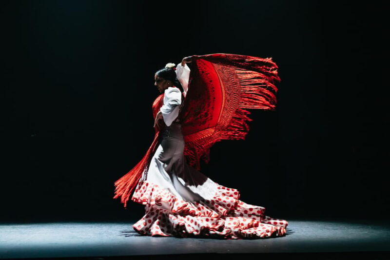 Seville: Live Flamenco Dancing Show Ticket at the Theater - The Performers and Their Magic