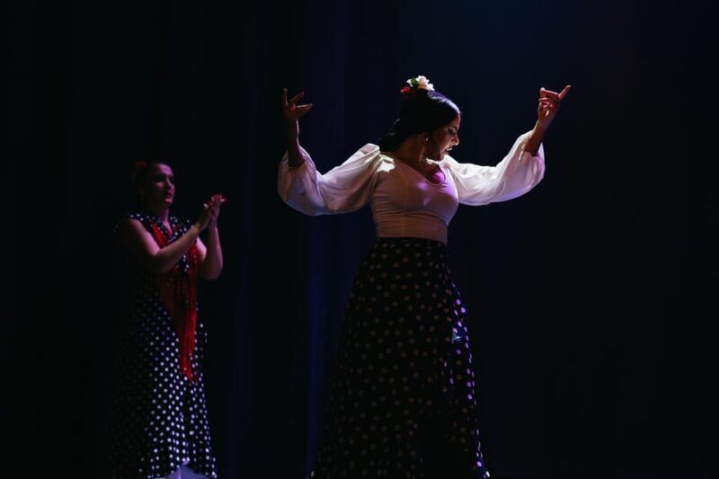Seville: Live Flamenco Dancing Show Ticket at the Theater - Value and Practicality for Travelers