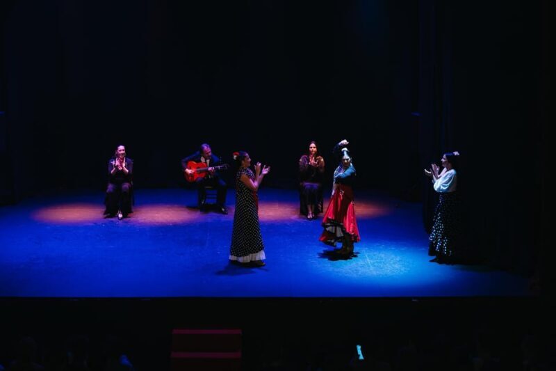 Seville: Live Flamenco Dancing Show Ticket at the Theater - Who Should Consider This Experience?