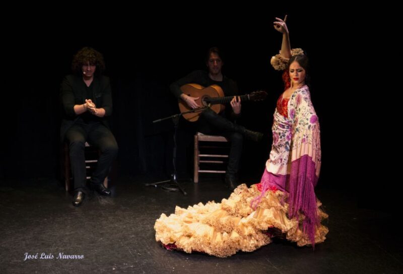 Seville: Live Flamenco Show at "Teatro Flamenco Triana" - Overall Summary