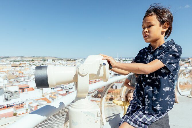 Seville Must-Do Family Friendly Private Tour - Key Points