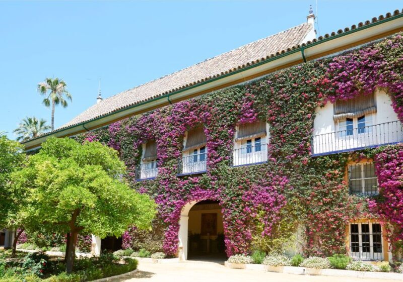 Seville: Palacio de Las Dueñas Entry Ticket and Guided Tour - The Sum Up