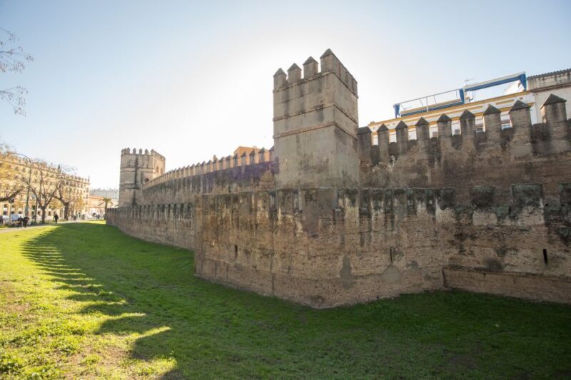 Seville: Palacio de Las Dueñas, La Macarena & Las Setas Tour - Who Will Love This Tour?
