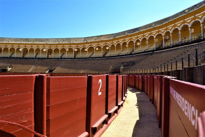 Seville: Plaza de Toros and Barrio Santa Cruz Tour - An In-Depth Look at the Seville: Plaza de Toros and Barrio Santa Cruz Tour