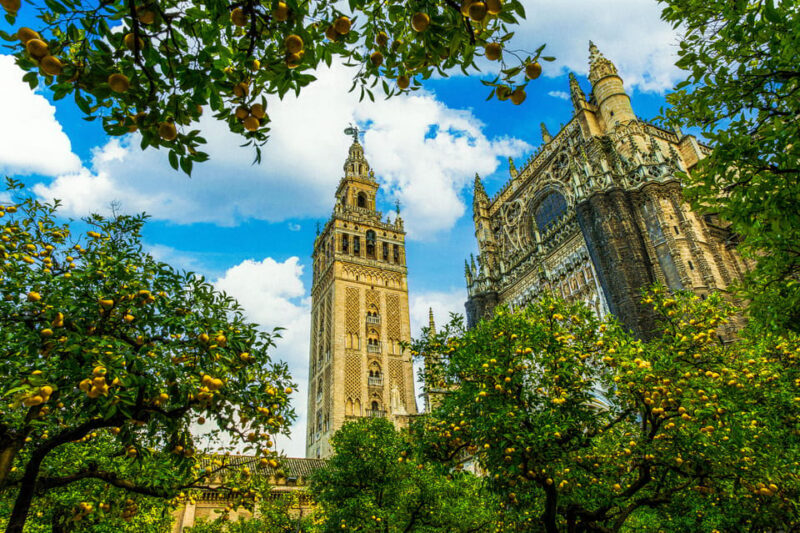 Seville: Priority Access Cathedral, Giralda & Alcázar Tour - Discover Seville’s Icons with Priority Access: Cathedral, Giralda & Alcázar Tour