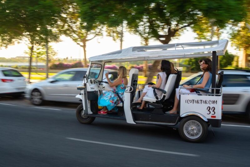 Seville: Private City Tour by Eco Tuk Tuk - Who Would Love This Tour?