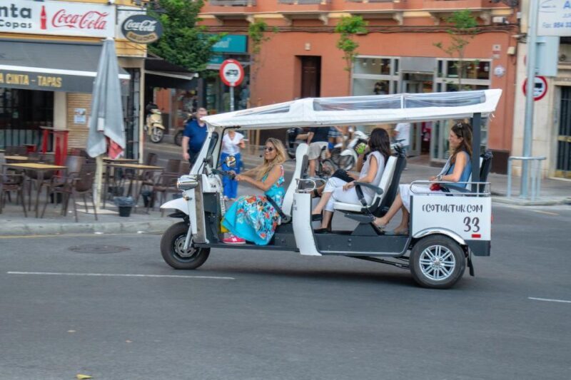 Seville: Private City Tour by Eco Tuk Tuk - The Sum Up