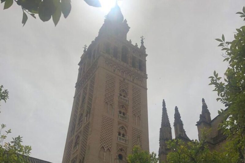 Seville: Private custom tour with a local guide - Why Choose a Private, Custom Tour in Seville?