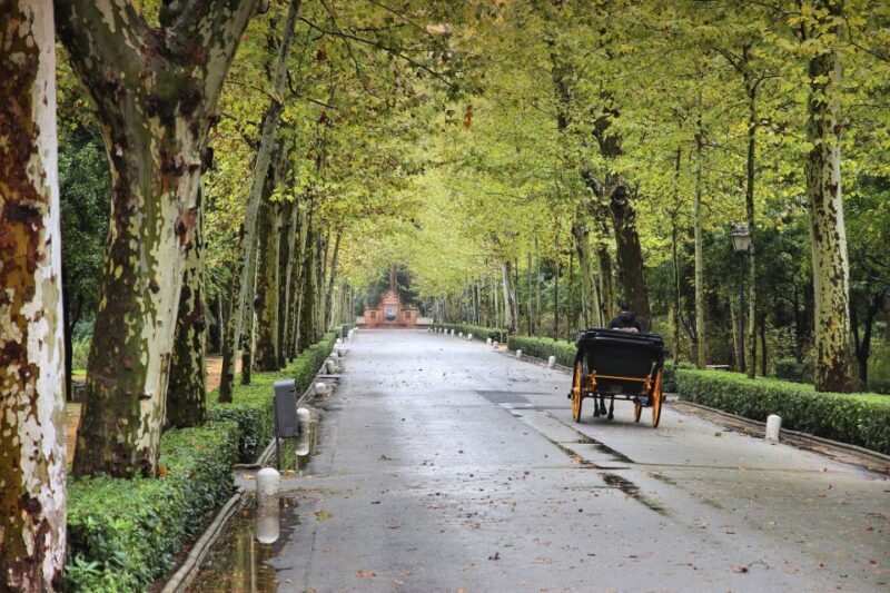 Seville: Private E-Bike City Highlights Tour - Who Would Enjoy This Experience?