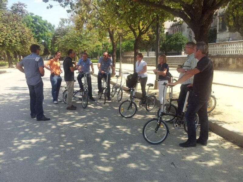 Seville: Relaxing Electric Bike tour with Tour Guide - The Practicalities and What’s Included
