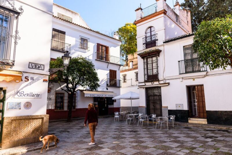 Seville: Santa Cruz Old Jewish Quarter Walking Tour - A Closer Look at the Santa Cruz Walking Tour