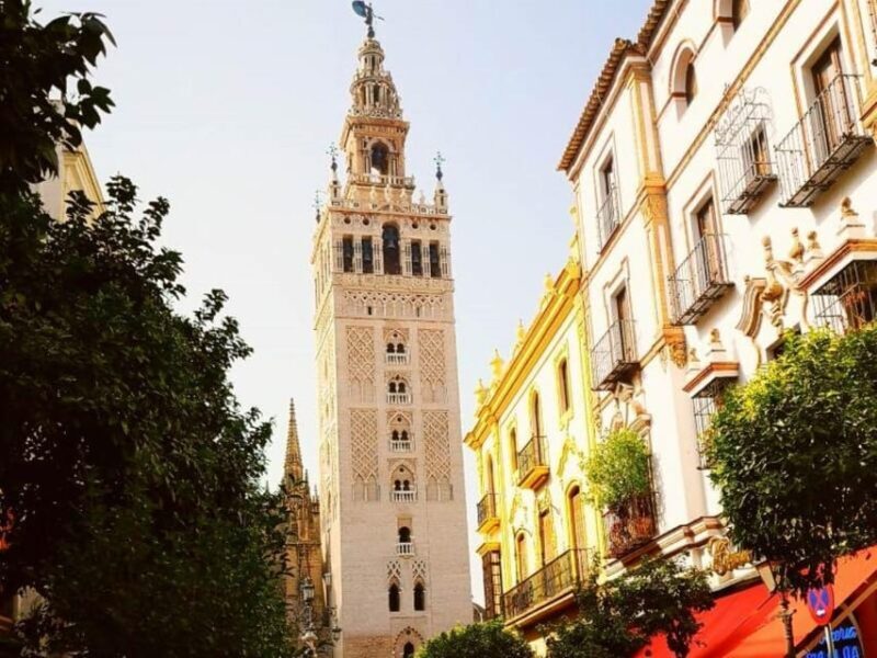 Seville: Tapas Tour with Wine and Rooftop drinks - Key Points