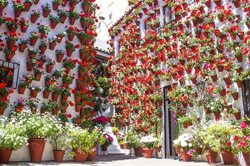 Seville: Tour to Cordoba and Mosque Cathedral - Key Points