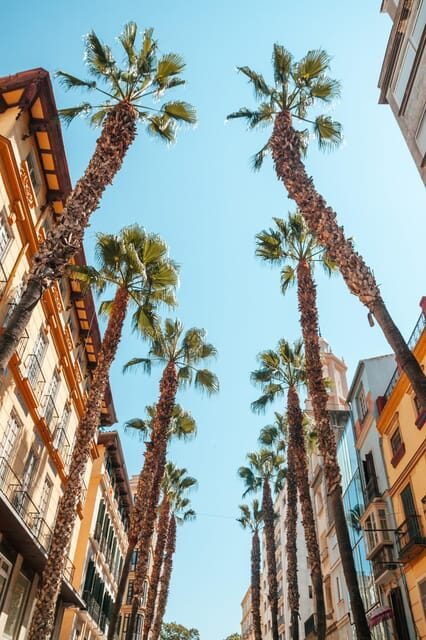 Seville: Transfer to Málaga with visit to Ronda - The Experience: What You Can Expect