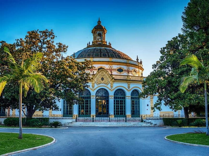 Seville: Unique Hidden Gems (E-)Bike Tour with NL Guide - Key Points