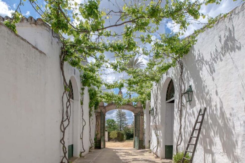 Seville: Visit Bodegas Góngora - Who Would Enjoy This Tour Most?
