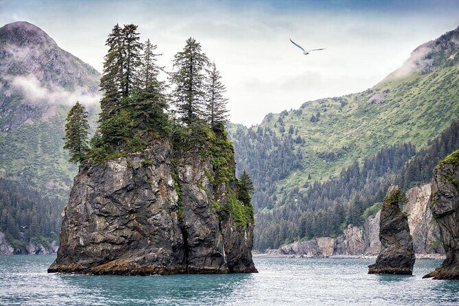 Seward and Kenai Fjords National Park Guided Tour with Lunch - Key Points