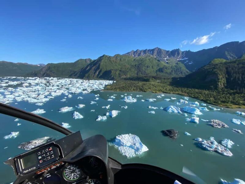Seward: Bear Glacier Scenic Flight with Icebergs - Who Will Love This Tour?