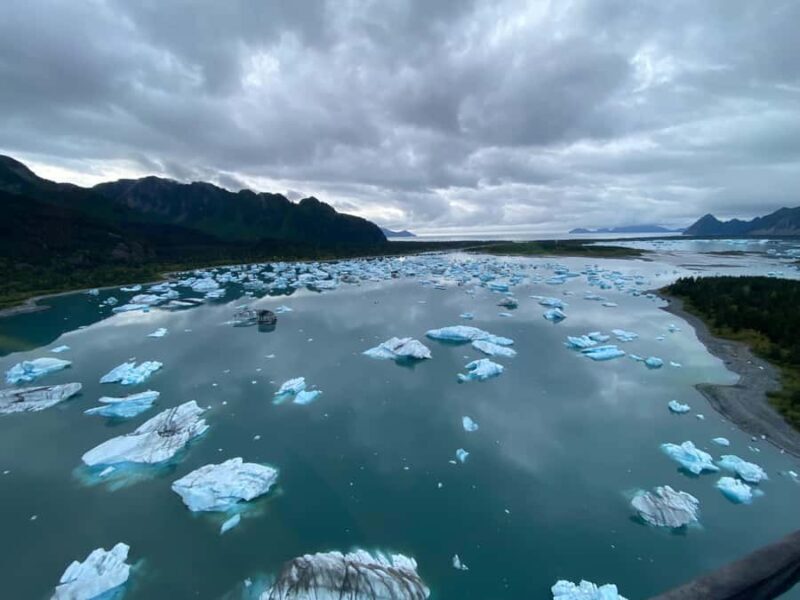 Seward: Bear Glacier Signature Helicopter Tour - The Authenticity and Value of the Tour