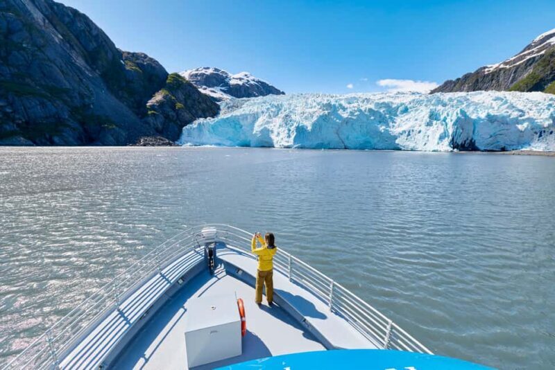 Seward: Captain's Choice Kenai Fjords National Park Tour - A Detailed Look at the Seward: Captains Choice Tour