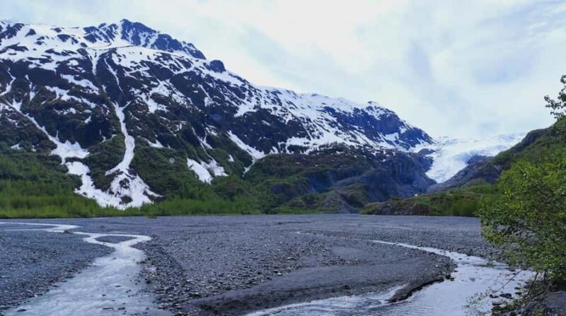 Seward: Guided Marmot Meadows Hike with Lunch - Key Points
