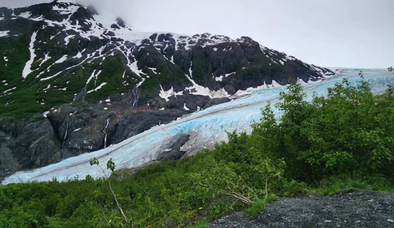 Seward: Guided Marmot Meadows Hike with Lunch - An In-Depth Look at the Marmot Meadows Hike Experience