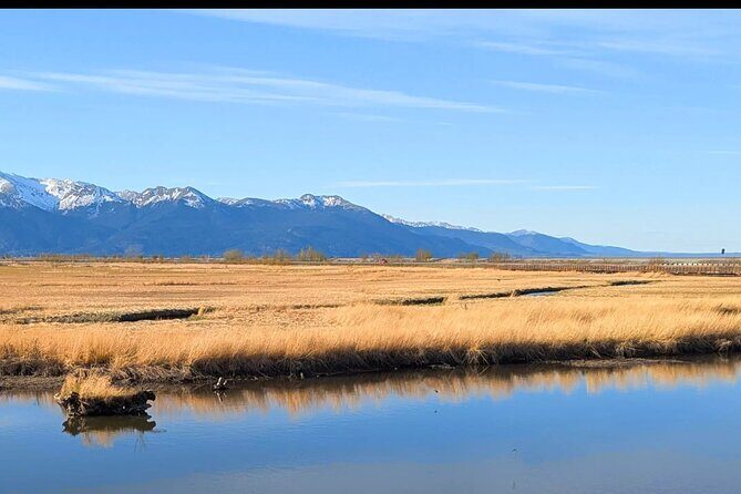 Seward Highway: A Self Guided Drive of Alaska's Historic Road - The Sum Up: Who Will Love This Tour?