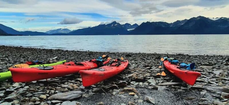 Seward: Kayak to Bridal Veil Falls with Lunch - A Detailed Look at the Experience