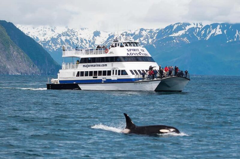 Seward: Kenai Fjords National Park Extended Glacier Cruise - The Quality of the Boat and Onboard Experience
