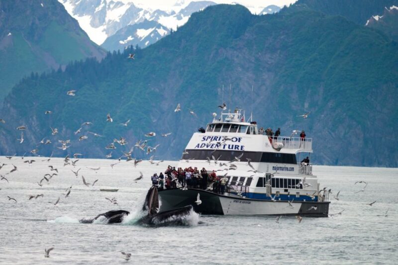 Seward: Kenai Fjords National Park Extended Glacier Cruise - The Guides and Crew: Making the Experience Special