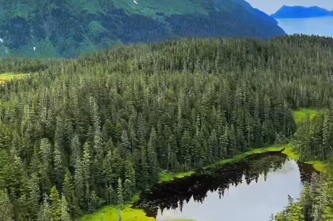 Seward Scenic 30 min Flight - An In-Depth Look at the Seward Scenic 30-Minute Flight