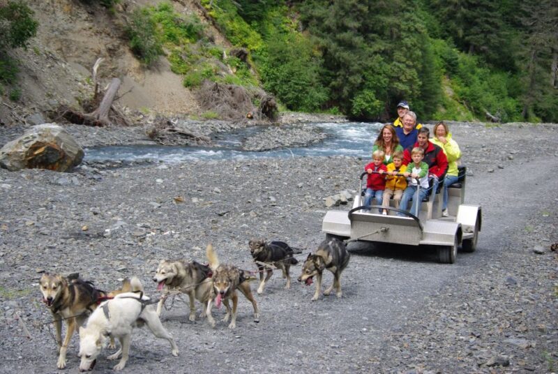 Seward: Summer Dog Sled Ride and Seavey Estate Tour - A Closer Look at What to Expect During the Tour