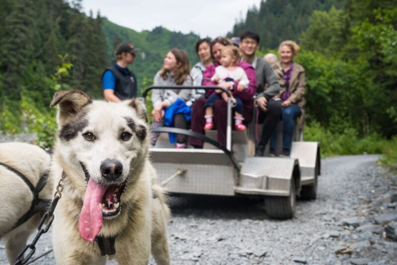 Seward: Summer Dog Sled Ride and Seavey Estate Tour - Who Would Enjoy This Tour?